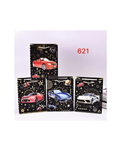 Punga cadou, carton 210gr, design Car, 26x32x10cm, modele asortate