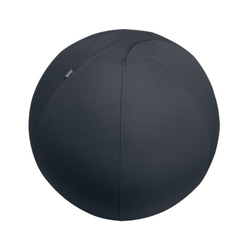 Campanie Leitz Ergo, Minge ergonomica LEITZ Ergo, pentru sezut sau fitness, cu functie de oprire, 75 cm, gri-carbune - vectordirect.ro