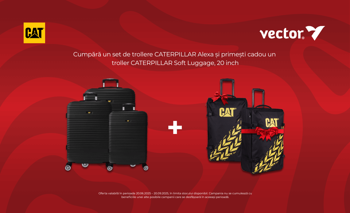 magazin papetarie – vectordirect.ro